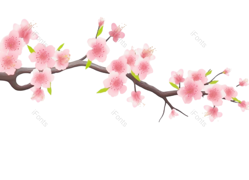 叶子图片,装饰元素,元素PNG,清新免抠素材